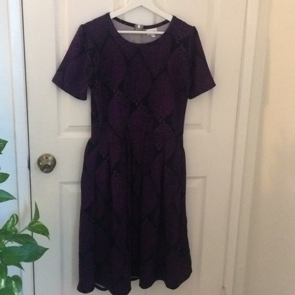 Stunning LulaRoe Amelia Dress